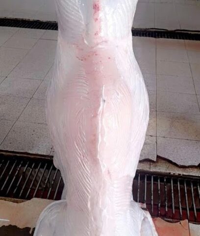 ملحمة ريف الأولين - Khamis Mushait - +966 50 901 5813