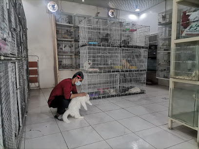 العصافير الجميلة - Bisha - +966 50 557 6086