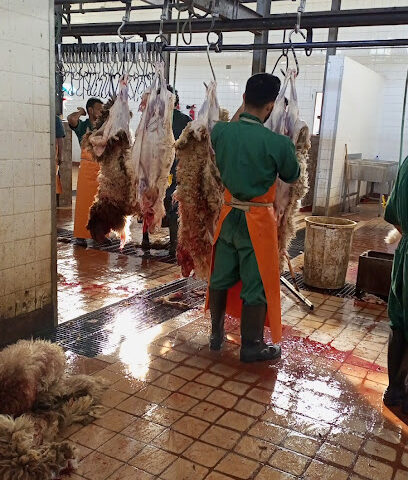 Jubail Butchery Store - Al Jubail -