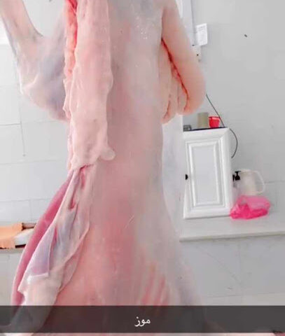 ملحمة آفاق الشبل - Najran - +966 55 767 4244