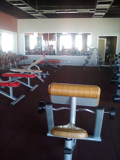 Al Salheen Gym