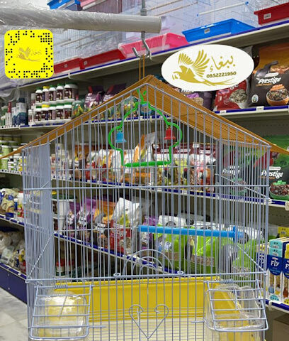 متجر ببغاء - Buraydah - +966 55 222 1950