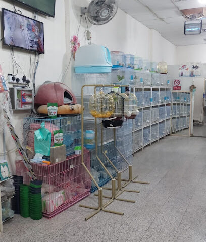 اليمام لطيور الزينة - Khamis Mushait - +966 50 958 9610