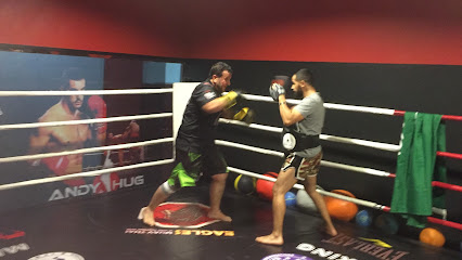 Fighter corner - Riyadh - +966 54 788 8862