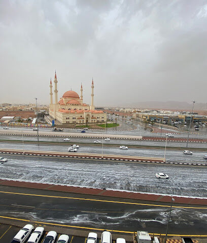 شركة ليدرز قادة الاعمال - Hail - +966 53 549 3133