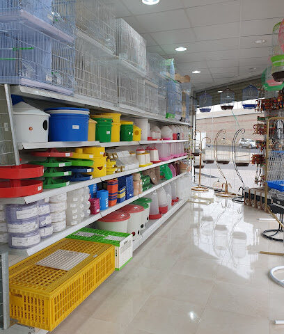 تاج الشاهين للطيور - Tabuk - +966 55 715 5713