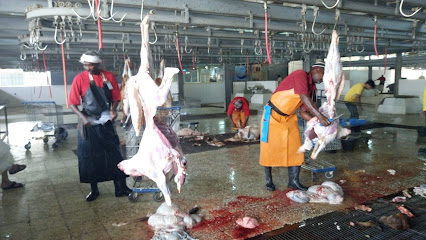 Al Moiesam Slaughterhouse - Mecca -