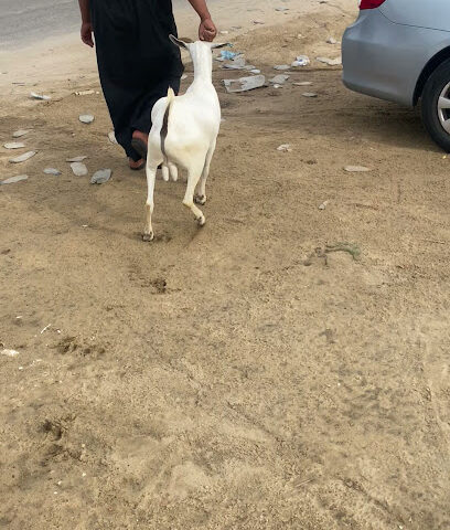 حظيرة النعيم - Al Jubail -