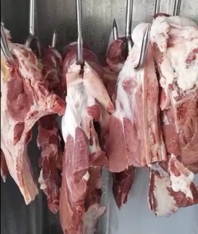 مركز لحوم تعاونية الثروة الحيوانية ببريدة - Buraydah - +966 55 855 8870