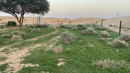 روضة العنانية بجنوبية سدير -  -