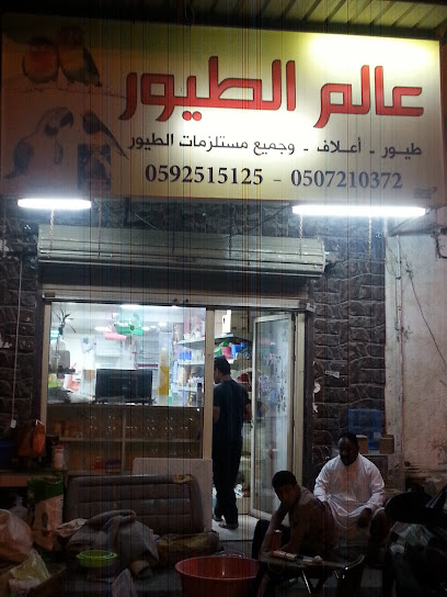 Alam Al Toyour - Saudi Arabia|Al Qatif 32661|Al Qudaih|HX9P+XMJ