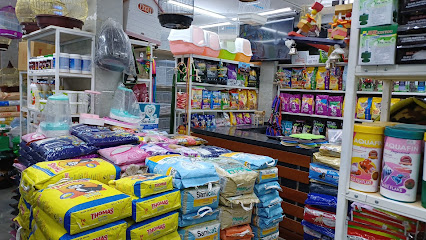 Royal Animal House (Pet Shop) - Jeddah - +966 55 020 7296