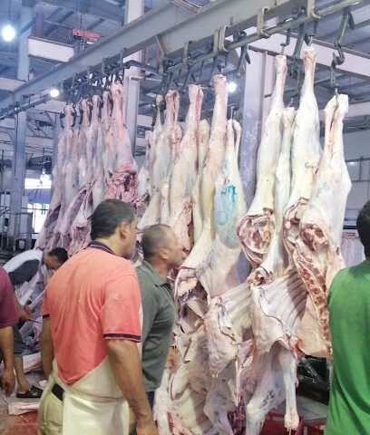 ملحمه ايلاف - Mecca - +966 50 915 5394