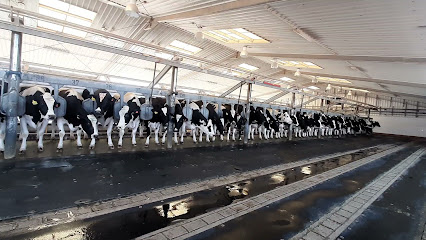 Almarai, Al Danah Dairy Farm - Haradh road, KSA - +966 58 019 6576
