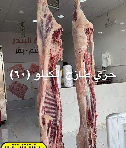 ملحمة البندر - Yanbu - +966 59 206 0685