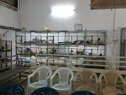 Sakaka Birds Market - Sakaka -
