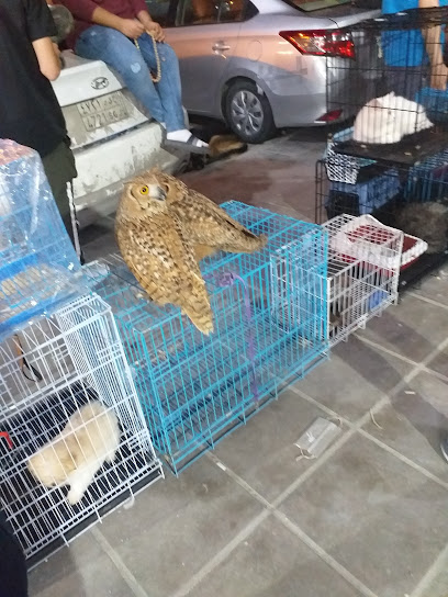 Birds Market - Riyadh 14512