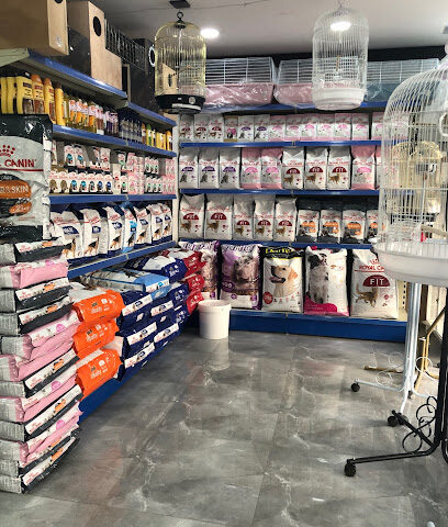 Lover of rare birds - Al Qatif - +966 50 484 2773