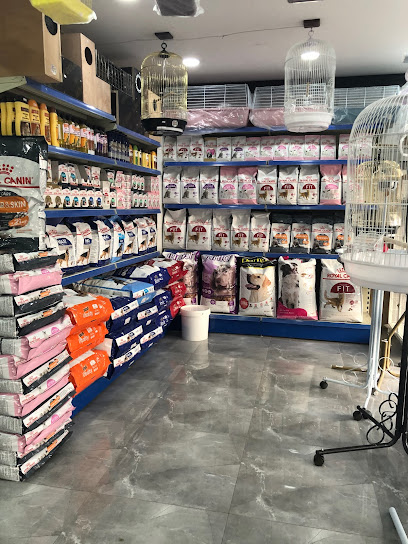 Lover of rare birds - Saudi Arabia|Al Qatif 32637|Al Madani|King Faisal Ibn Abdulaziz St