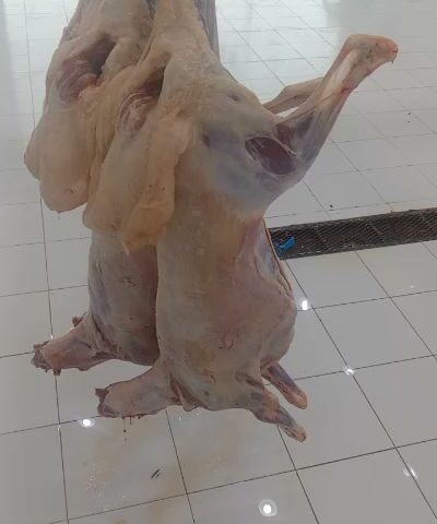 ملحمة زاكي - Hafar Al Batin - +966 56 079 0774