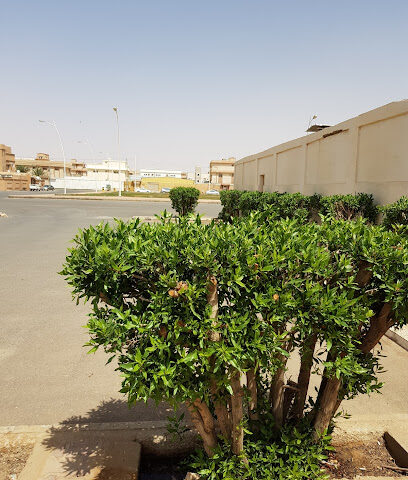 حديقة عامه - Al Badayea -