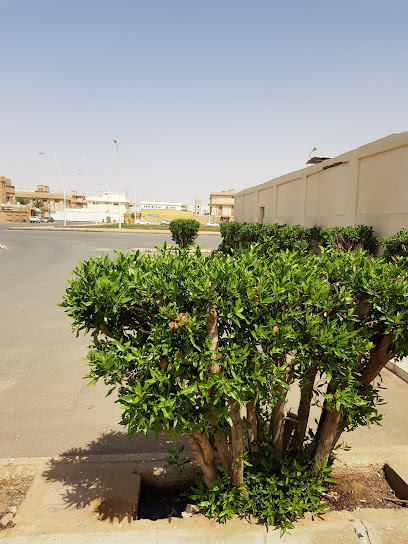 حديقة عامه - Saudi Arabia|Al Badayea 56352|Ash Shabrami|2P2M+8MR