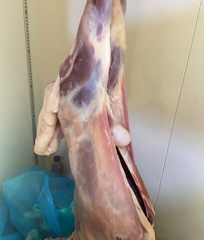 ملحمة النعمان - Jazan - +966 53 435 7762