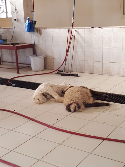Al-Fuwayliq Slaughterhouse - Saudi Arabia|Al-Fuwayliq 52919|C4GM+2J7