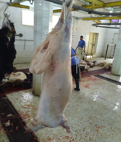Northern slaughterhouse - Hail - +966 16 533 5000