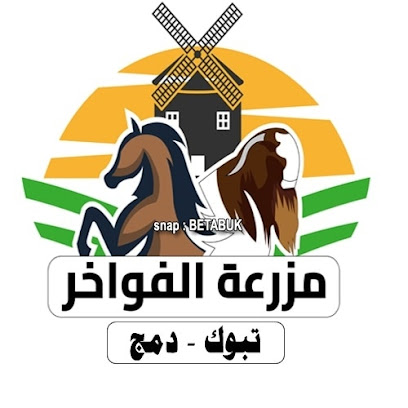 ماعز البور - Tabuk -