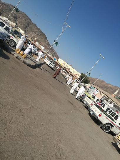 Maksala Hijaz - Saudi Arabia|Badr 46365|QQHX+WF6