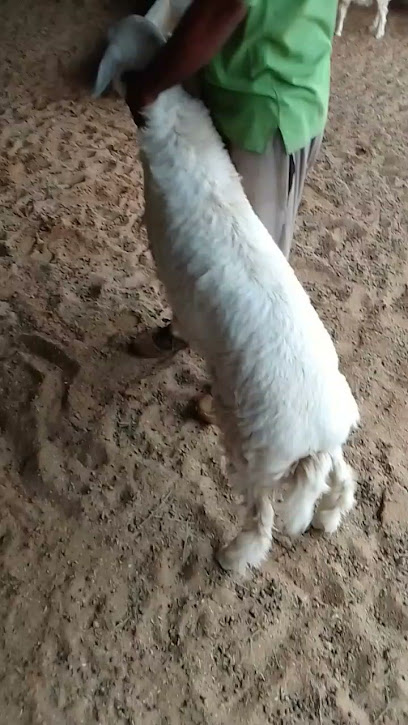 مسلخ ساجر - Saudi Arabia|Unnamed Road 17647،