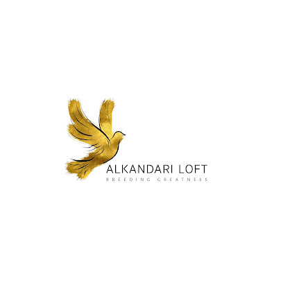 Alkandari Loft -  - +965 513 51615