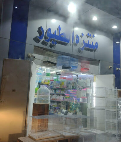 منتزة الطيور - Saihat - +966 53 770 3795