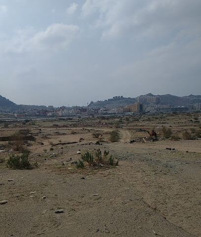 Camel Farm Fixed Position - Mecca -