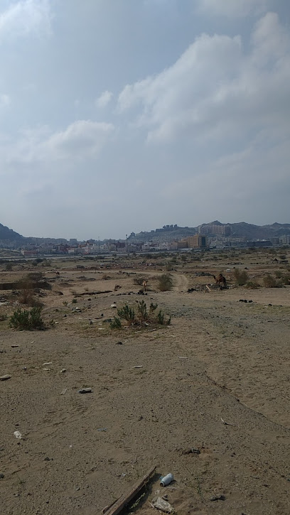 Camel Farm Fixed Position - Saudi Arabia|Mecca 24313|طريق مكة جدة السريع|CPG7+537