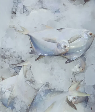ولاء للأسماك الطازجة Wala fresh fish - Sakaka - +966 50 914 4531