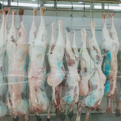Al Asifa Meat Shop - Riyadh - +966 50 877 6431