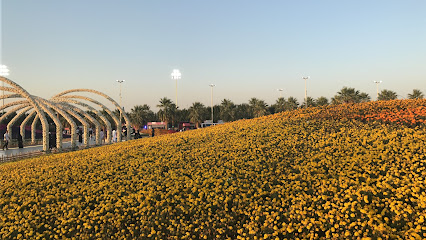 Sawyer Municipality - Suwayr -