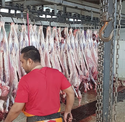 Slaughterhouse face Municipality - Al Wajh -