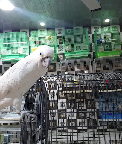 مؤسسة هضاب الشمال التجارية - Arar - +966 55 334 6444