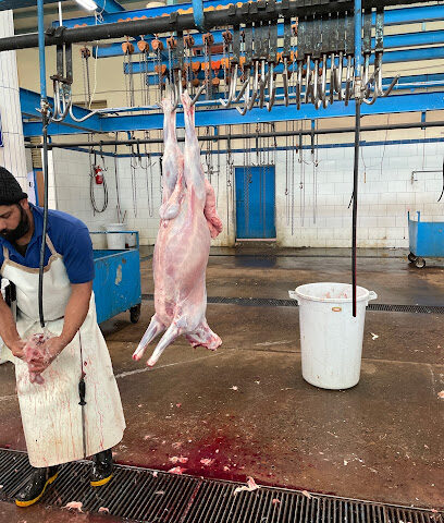Slaughter house - Abha -