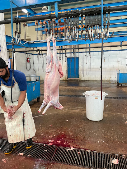 Slaughter house - Saudi Arabia|Abha 62542|7502 - حي - 5520|As Sharafiyah