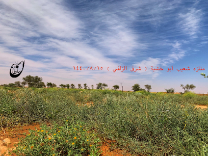 منتزه أبو خشبة - Az Zulfi -