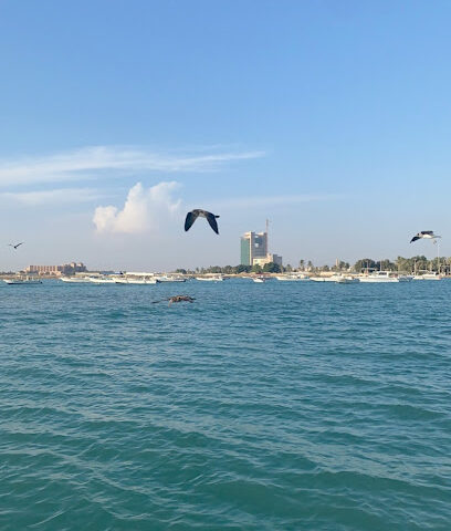 هيا تعال للرحلات البحرية لتأجير القوارب - Yanbu - +966 56 241 9194