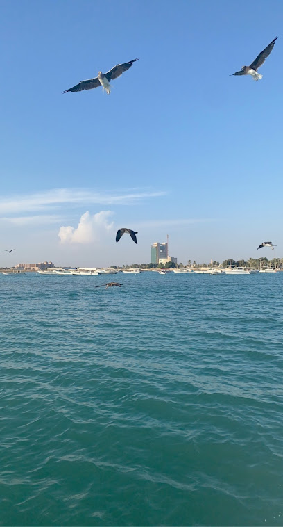 هيا تعال للرحلات البحرية لتأجير القوارب - Saudi Arabia|Yanbu|رحمه الله، سوق السمك