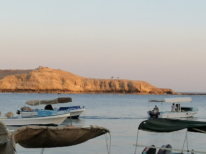 ابويوسف للرحلات البحرية - Al Wajh - +966 55 662 0116