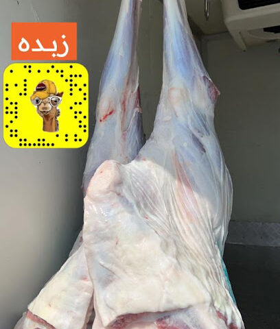 جزار الحاشي - Taif - +966 56 698 8870