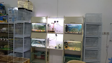 بلبل للطيور والأسماك - Az Zulfi - +966 58 126 3113