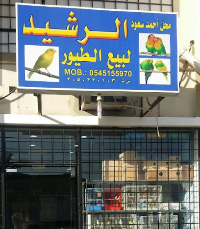 الرشيد للطيور - Dammam - +966 54 515 5970